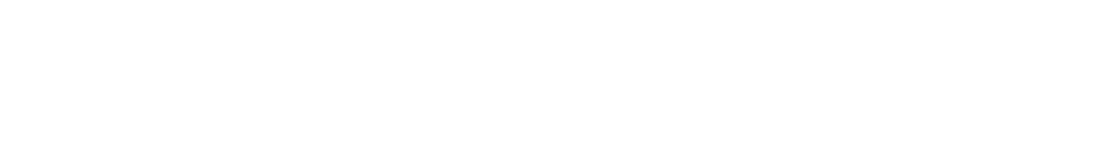 FATEVIZION